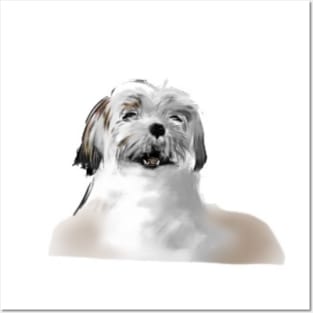 Cute Dog - Shih-Poo Des! Posters and Art